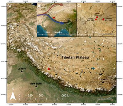 Into thin air: prehistoric intensive crop management in high altitude western Tibet